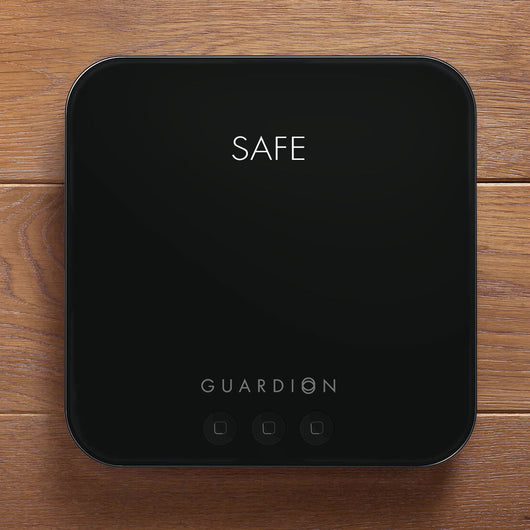 Guardion Radon Security System